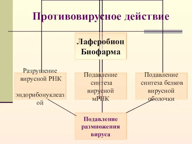 Противовирусное действие