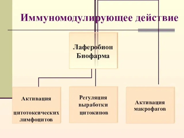 Иммуномодулирующее действие