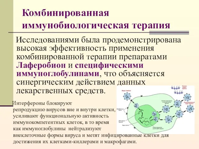 Комбинированная иммунобиологическая терапия Исследованиями была продемонстрирована высокая эффективность применения комбинированной терапии препаратами