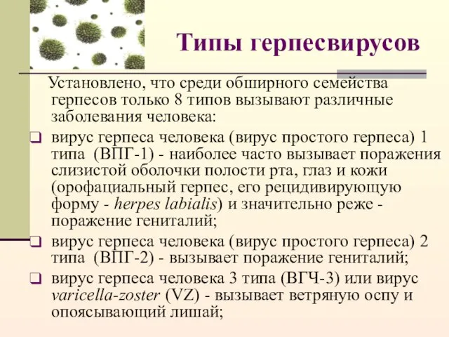 Типы герпесвирусов Установлено, что среди обширного семейства герпесов только 8 типов вызывают