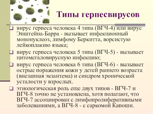 Типы герпесвирусов вирус герпеса человека 4 типа (ВГЧ-4) или вирус Эпштейна-Барра -