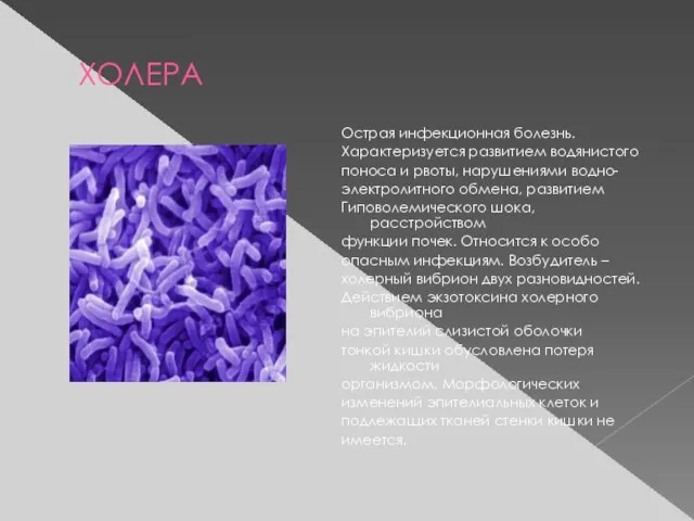 ХОЛЕРА Острая инфекционная болезнь. Характеризуется развитием водянистого поноса и рвоты, нарушениями водно-