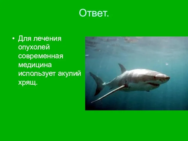 Ответ. Для лечения опухолей современная медицина использует акулий хрящ.