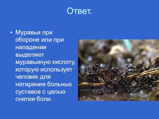 Ответ. Муравьи при обороне или при нападении выделяют муравьиную кислоту, которую использует