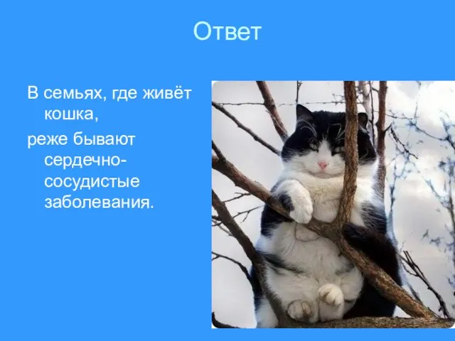 Ответ В семьях, где живёт кошка, реже бывают сердечно-сосудистые заболевания.