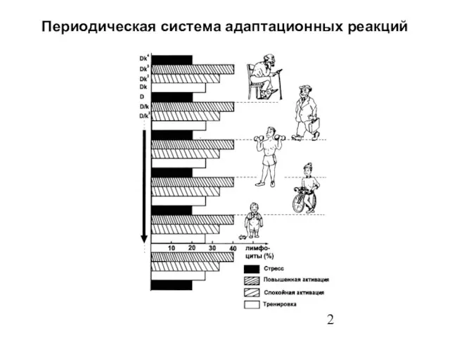 Периодическая система адаптационных реакций