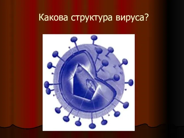 Какова структура вируса?