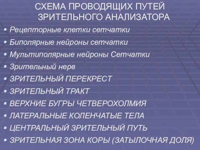 СХЕМА ПРОВОДЯЩИХ ПУТЕЙ ЗРИТЕЛЬНОГО АНАЛИЗАТОРА Рецепторные клетки сетчатки Биполярные нейроны сетчатки Мультиполярные