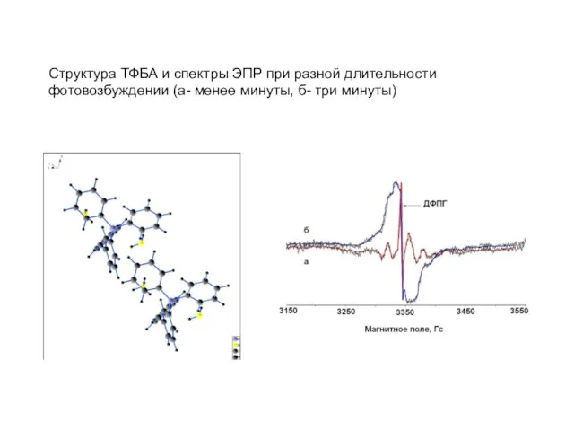 Структура ТФБА и спектры ЭПР при разной длительности фотовозбуждении (а- менее минуты, б- три минуты)