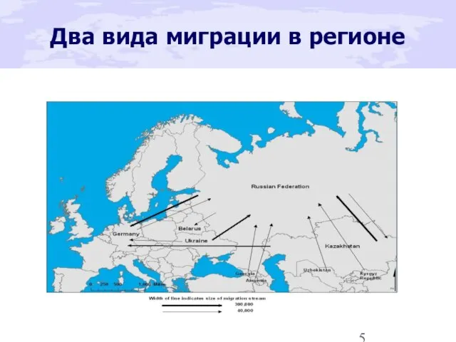 Два вида миграции в регионе