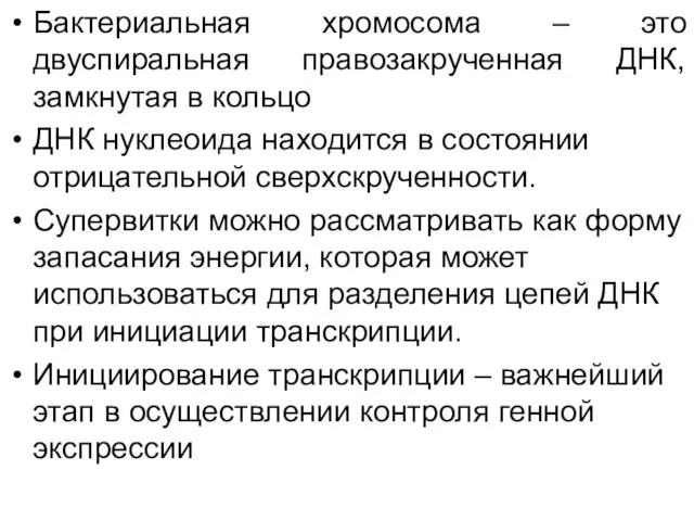 Бактериальная хромосома – это двуспиральная правозакрученная ДНК, замкнутая в кольцо ДНК нуклеоида