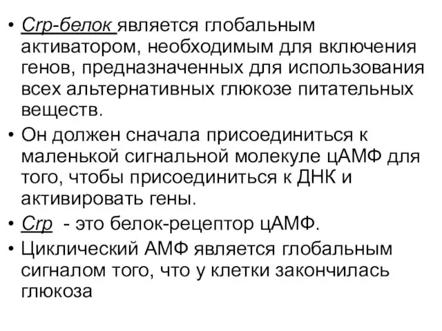 Crp-белок является глобальным активатором, необходимым для включения генов, предназначенных для использования всех