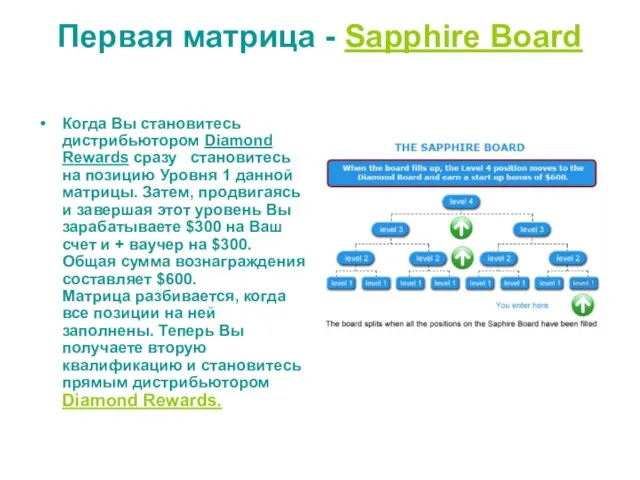 Первая матрица - Sapphire Board Когда Вы становитесь дистрибьютором Diamond Rewards сразу