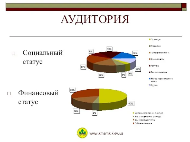 АУДИТОРИЯ Финансовый статус Социальный статус