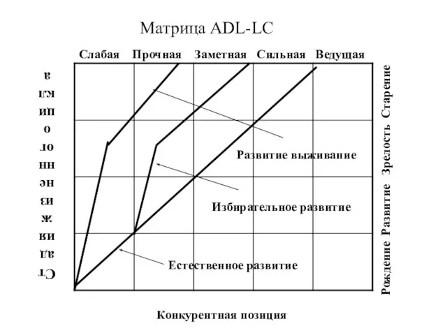 Матрица ADL-LC Конкурентная позиция Слабая Прочная Заметная Сильная Ведущая Стадия жизненного цикла