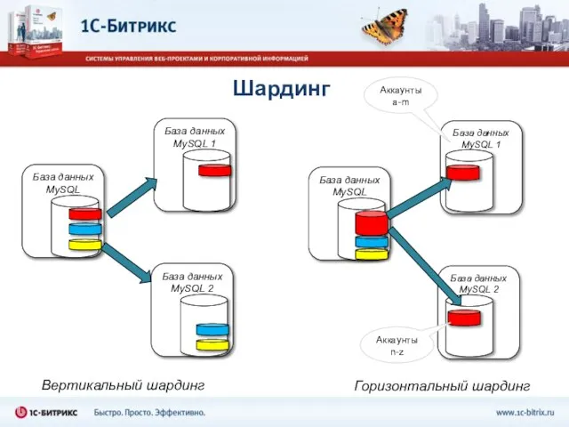 База данных MySQL База данных MySQL 1 База данных MySQL 2 Вертикальный