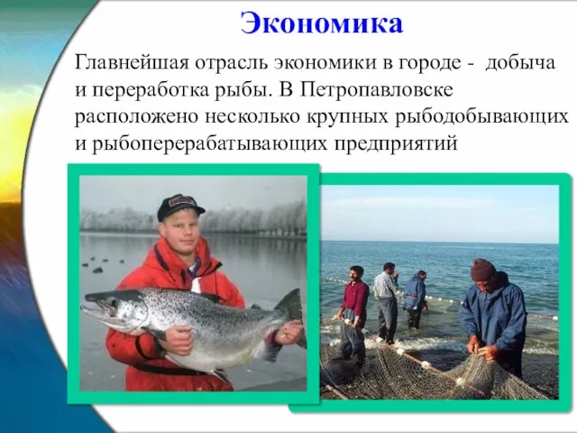 Главнейшая отрасль экономики в городе - добыча и переработка рыбы. В Петропавловске