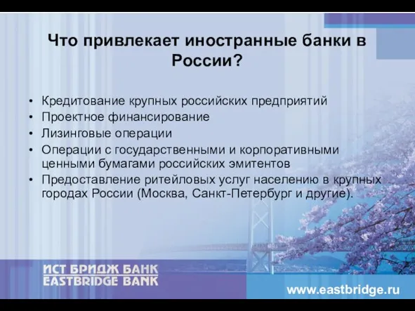 Что привлекает иностранные банки в России? Кредитование крупных российских предприятий Проектное финансирование