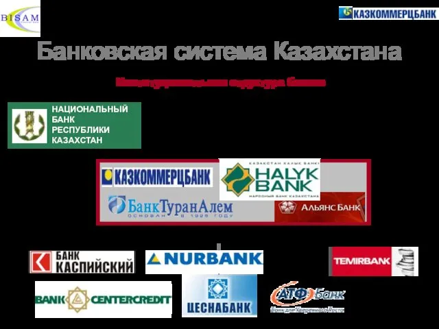 Банковская система Казахстана Институциональная структура банков ЧАСТНЫЕ БАНКИ