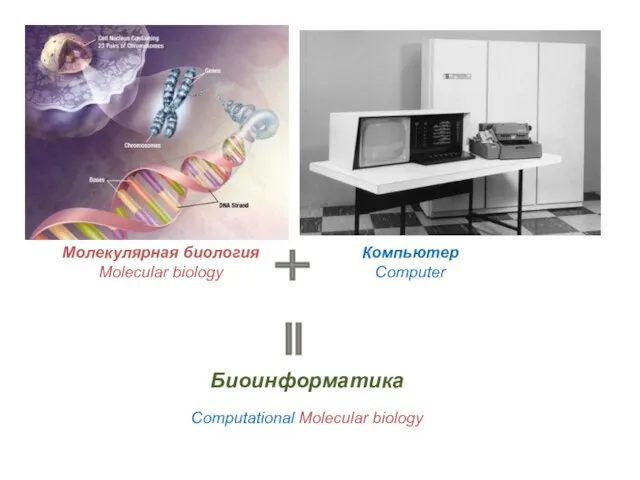 Молекулярная биология Molecular biology Компьютер Computer Биоинформатика Computational Molecular biology