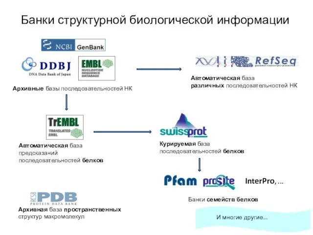 InterPro, ... Банки структурной биологической информации Архивные базы последовательностей НК Автоматическая база