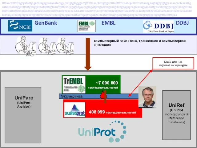 ~7 000 000 последовательностей компьютерный поиск гена, трансляция и компьютерная аннотация UniRef
