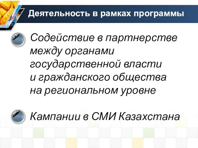 Деятельность в рамках программы Содействие в партнерстве между органами государственной власти и