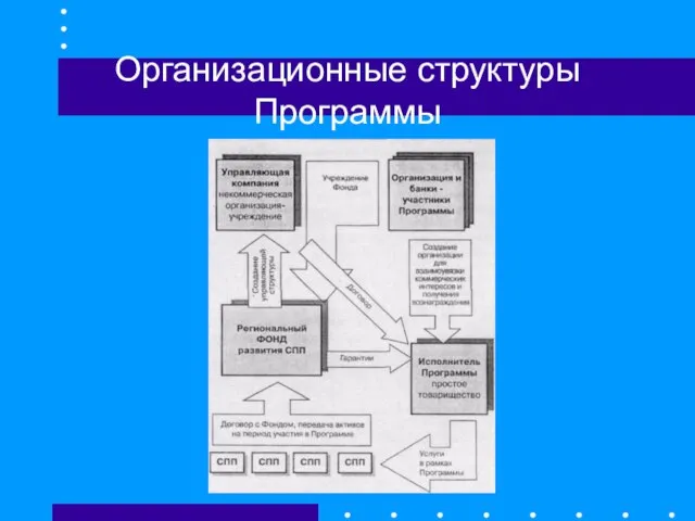 Организационные структуры Программы