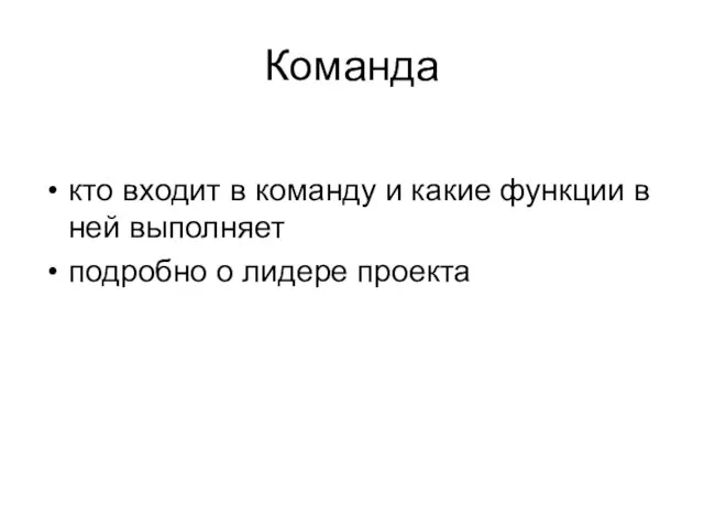 Команда кто входит в команду и какие функции в ней выполняет подробно о лидере проекта