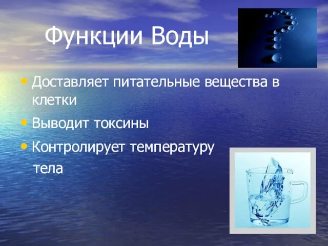 Функции Воды Доставляет питательные вещества в клетки Выводит токсины Контролирует температуру тела