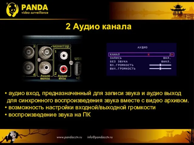 2 Аудио канала аудио вход, предназначенный для записи звука и аудио выход