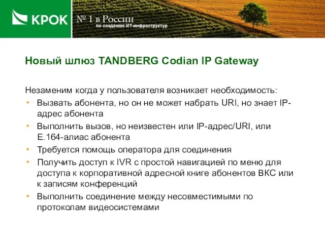 Новый шлюз TANDBERG Codian IP Gateway Незаменим когда у пользователя возникает необходимость: