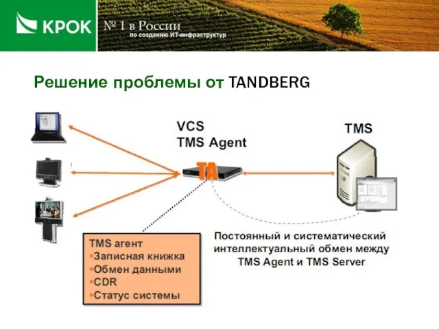 Решение проблемы от TANDBERG