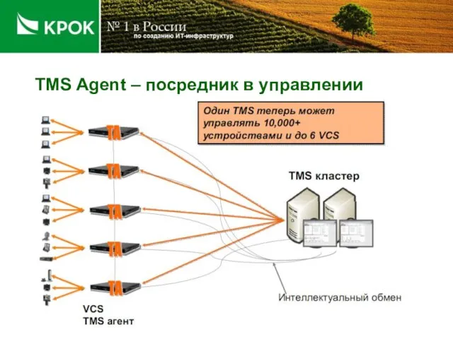 TMS Agent – посредник в управлении