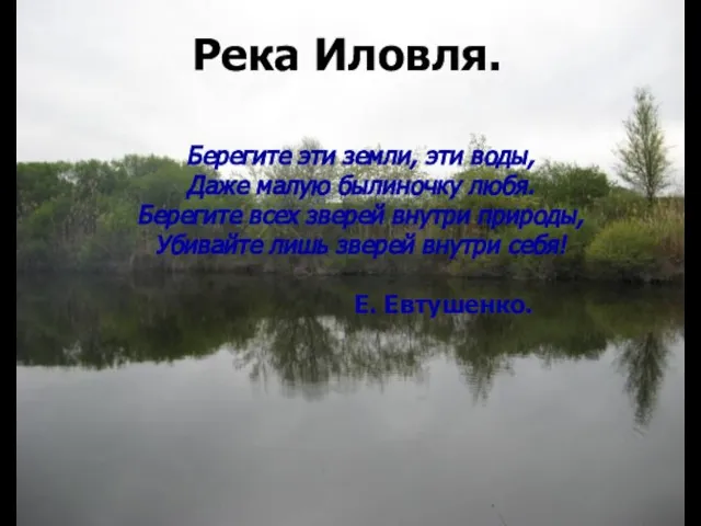 Река Иловля. Берегите эти земли, эти воды, Даже малую былиночку любя. Берегите