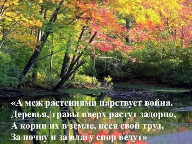 «А меж растениями царствует война. Деревья, травы вверх растут задорно, А корни