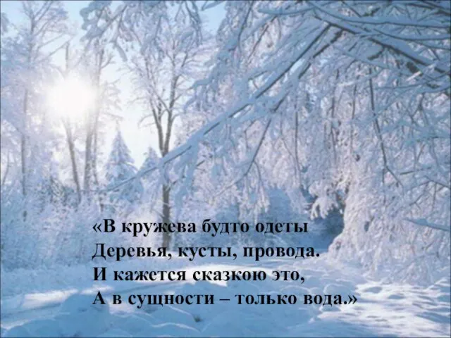 «В кружева будто одеты Деревья, кусты, провода. И кажется сказкою это, А