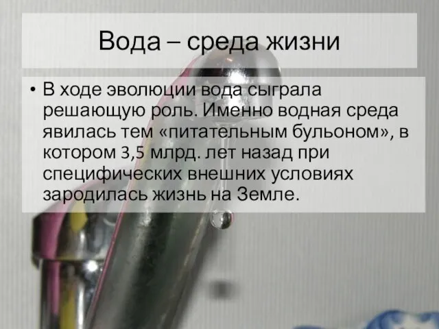 Вода – среда жизни В ходе эволюции вода сыграла решающую роль. Именно