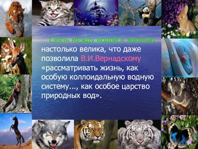 Связь между водой и жизнью настолько велика, что даже позволила В.И.Вернадскому «рассматривать