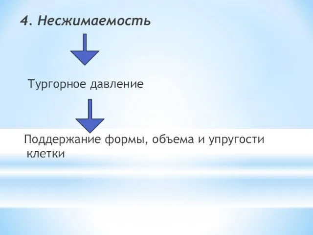 4. Несжимаемость Тургорное давление Поддержание формы, объема и упругости клетки