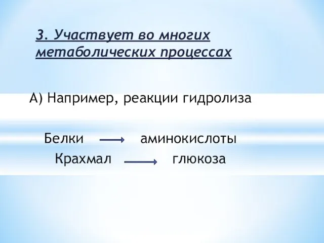 3. Участвует во многих метаболических процессах А) Например, реакции гидролиза Белки аминокислоты Крахмал глюкоза