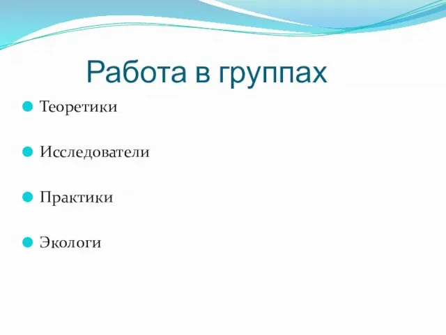 Работа в группах Теоретики Исследователи Практики Экологи