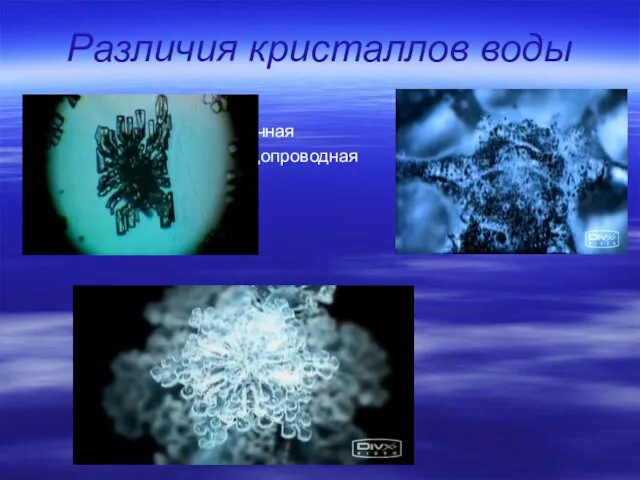 Различия кристаллов воды Обычная водопроводная вода Святая вода