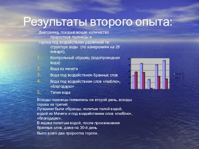 Результаты второго опыта: Диаграмма, показывающая количество проростков пшеницы и гороха под воздействием