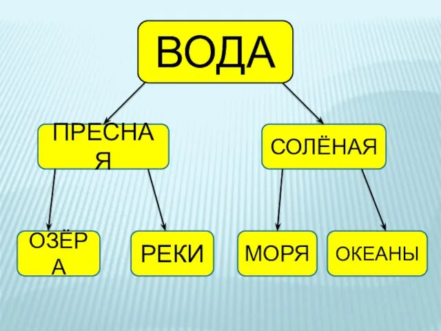 ВОДА ПРЕСНАЯ СОЛЁНАЯ ОЗЁРА РЕКИ МОРЯ ОКЕАНЫ