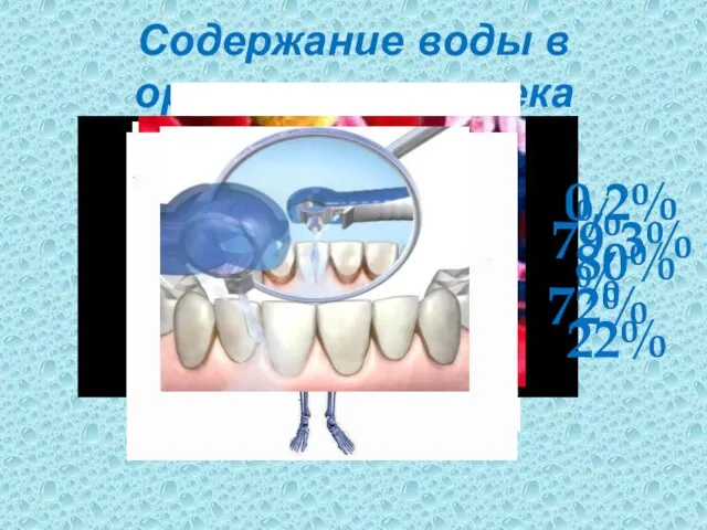 Содержание воды в организме человека 83,3% 82% 80% 72% 79,3% 22% 0,2%