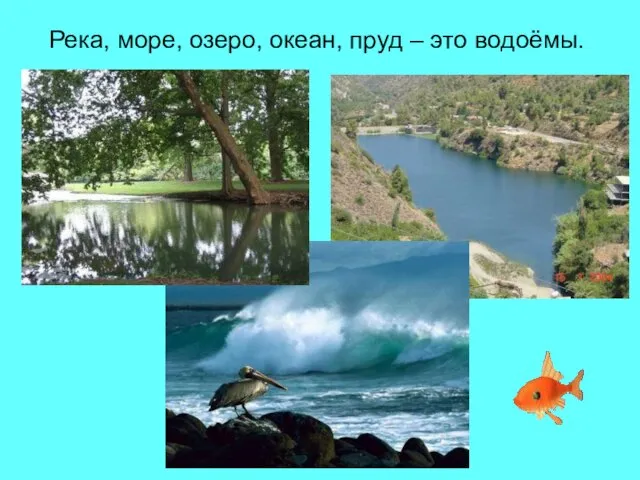 Река, море, озеро, океан, пруд – это водоёмы.