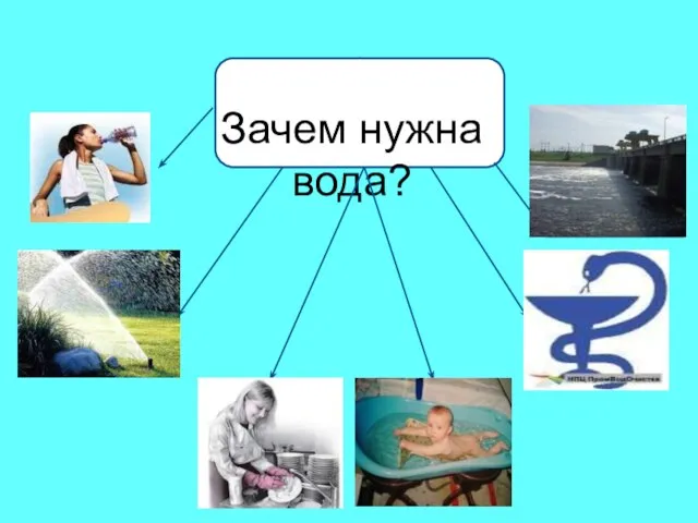 Зачем нужна вода? ? ? ? ? ? ?