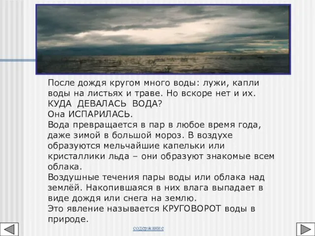 После дождя кругом много воды: лужи, капли воды на листьях и траве.