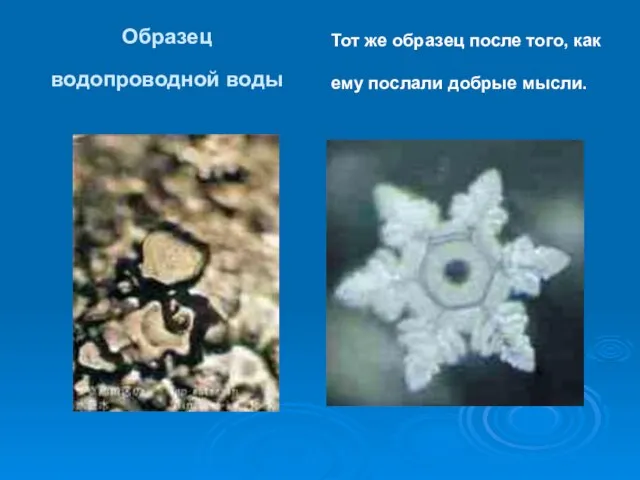 Образец водопроводной воды Тот же образец после того, как ему послали добрые мысли.